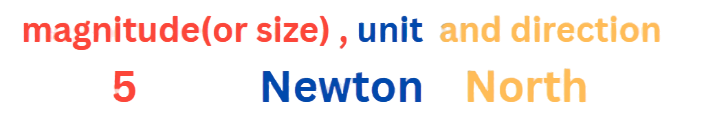 Physical quantities magnitude(or size) , unit and direction vector quantity 0625